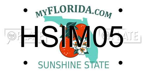 HSIM05 Florida License Plate