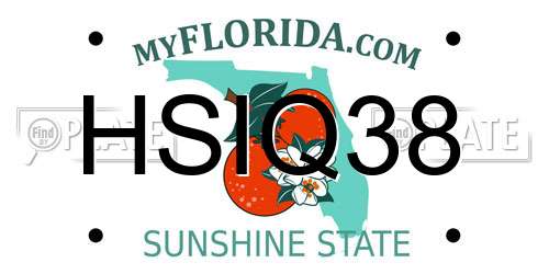 HSIQ38 Florida License Plate