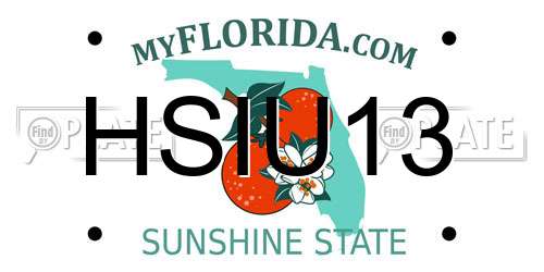 HSIU13 Florida License Plate