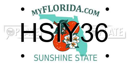 HSIY36 Florida License Plate