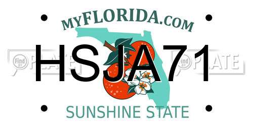 HSJA71 Florida License Plate
