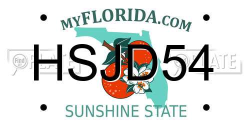 HSJD54 Florida License Plate