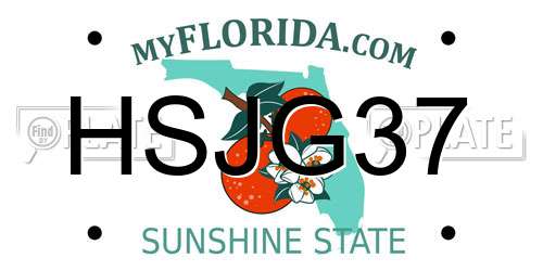 HSJG37 Florida License Plate