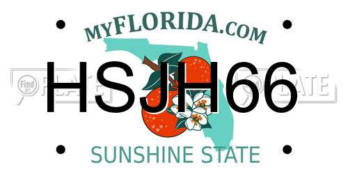 HSJH66 Florida License Plate