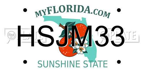 HSJM33 Florida License Plate