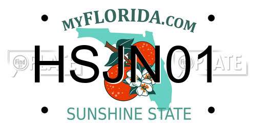 HSJN01 Florida License Plate