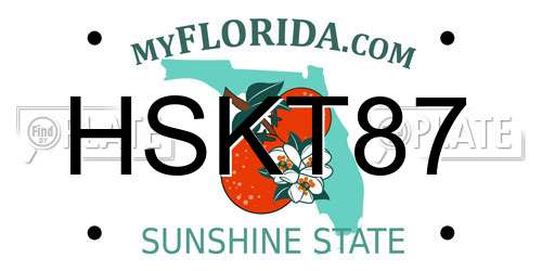 HSKT87 Florida License Plate