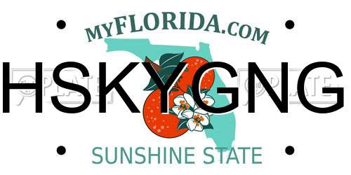 HSKYGNG Florida License Plate