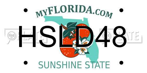 HSLD48 Florida License Plate
