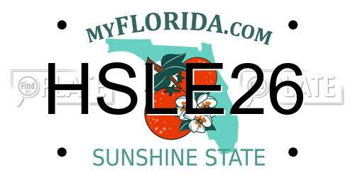 HSLE26 Florida License Plate