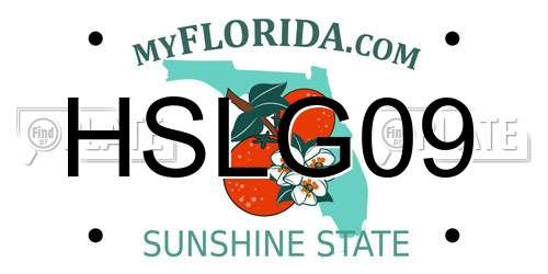 HSLG09 Florida License Plate