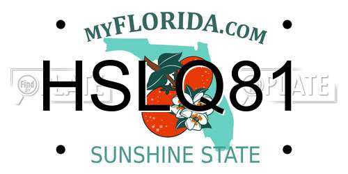 HSLQ81 Florida License Plate