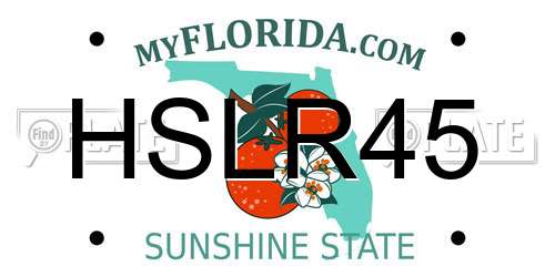 HSLR45 Florida License Plate