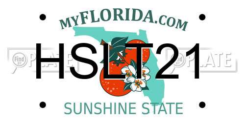 HSLT21 Florida License Plate