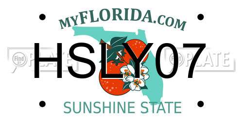 HSLY07 Florida License Plate