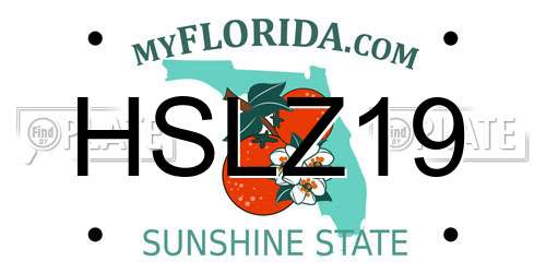 HSLZ19 Florida License Plate