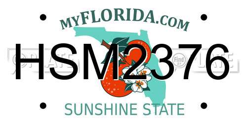 HSM2376 Florida License Plate