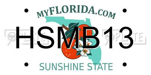 HSMB13 Florida License Plate