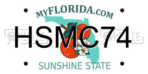HSMC74 Florida License Plate