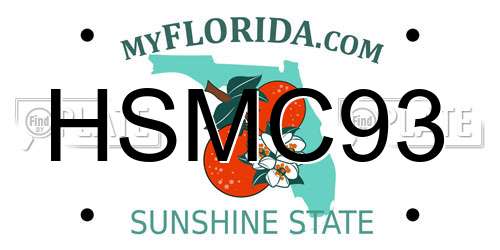 HSMC93 Florida License Plate