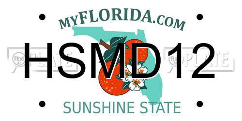 HSMD12 Florida License Plate