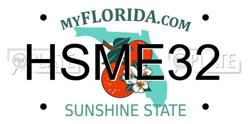HSME32 Florida License Plate