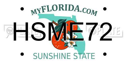 HSME72 Florida License Plate