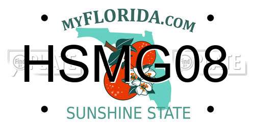 HSMG08 Florida License Plate