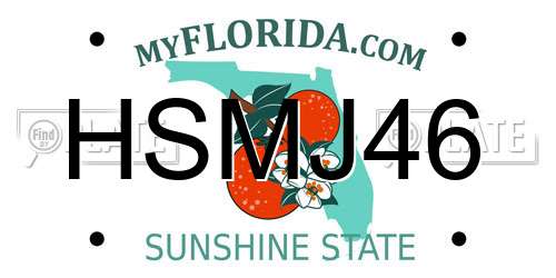 HSMJ46 Florida License Plate