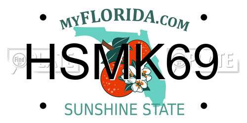 HSMK69 Florida License Plate
