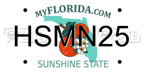 HSMN25 Florida License Plate