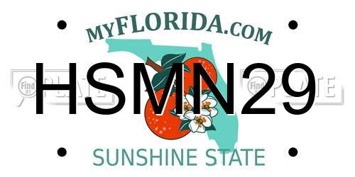 HSMN29 Florida License Plate