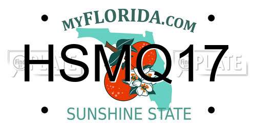 HSMQ17 Florida License Plate