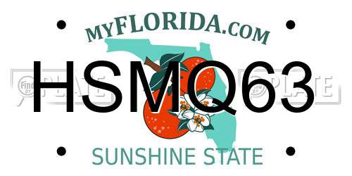 HSMQ63 Florida License Plate