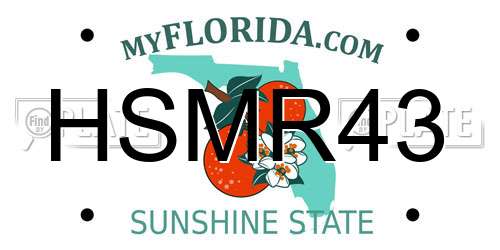 HSMR43 Florida License Plate