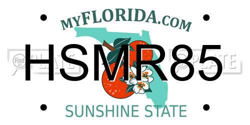 HSMR85 Florida License Plate