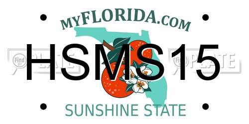 HSMS15 Florida License Plate