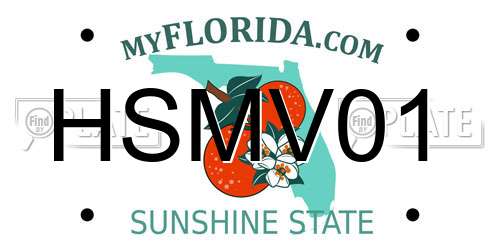 HSMV01 Florida License Plate