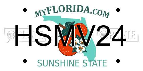 HSMV24 Florida License Plate
