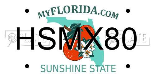 HSMX80 Florida License Plate