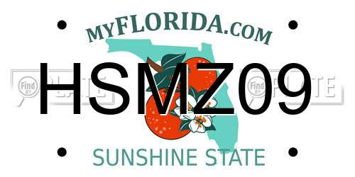HSMZ09 Florida License Plate