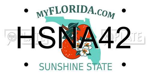 HSNA42 Florida License Plate