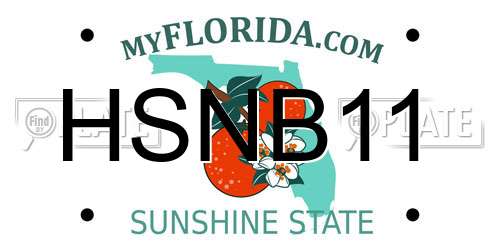 HSNB11 Florida License Plate