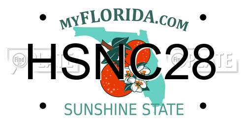 HSNC28 Florida License Plate