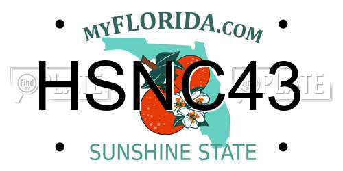 HSNC43 Florida License Plate