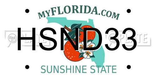 HSND33 Florida License Plate