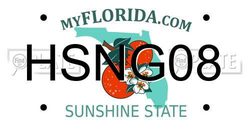 HSNG08 Florida License Plate