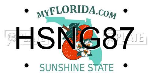 HSNG87 Florida License Plate