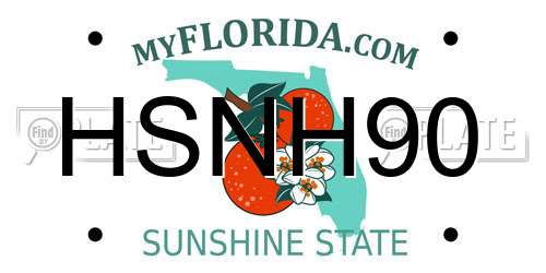 HSNH90 Florida License Plate