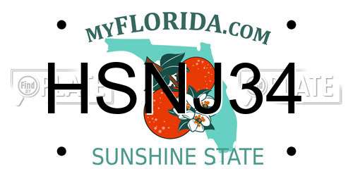 HSNJ34 Florida License Plate